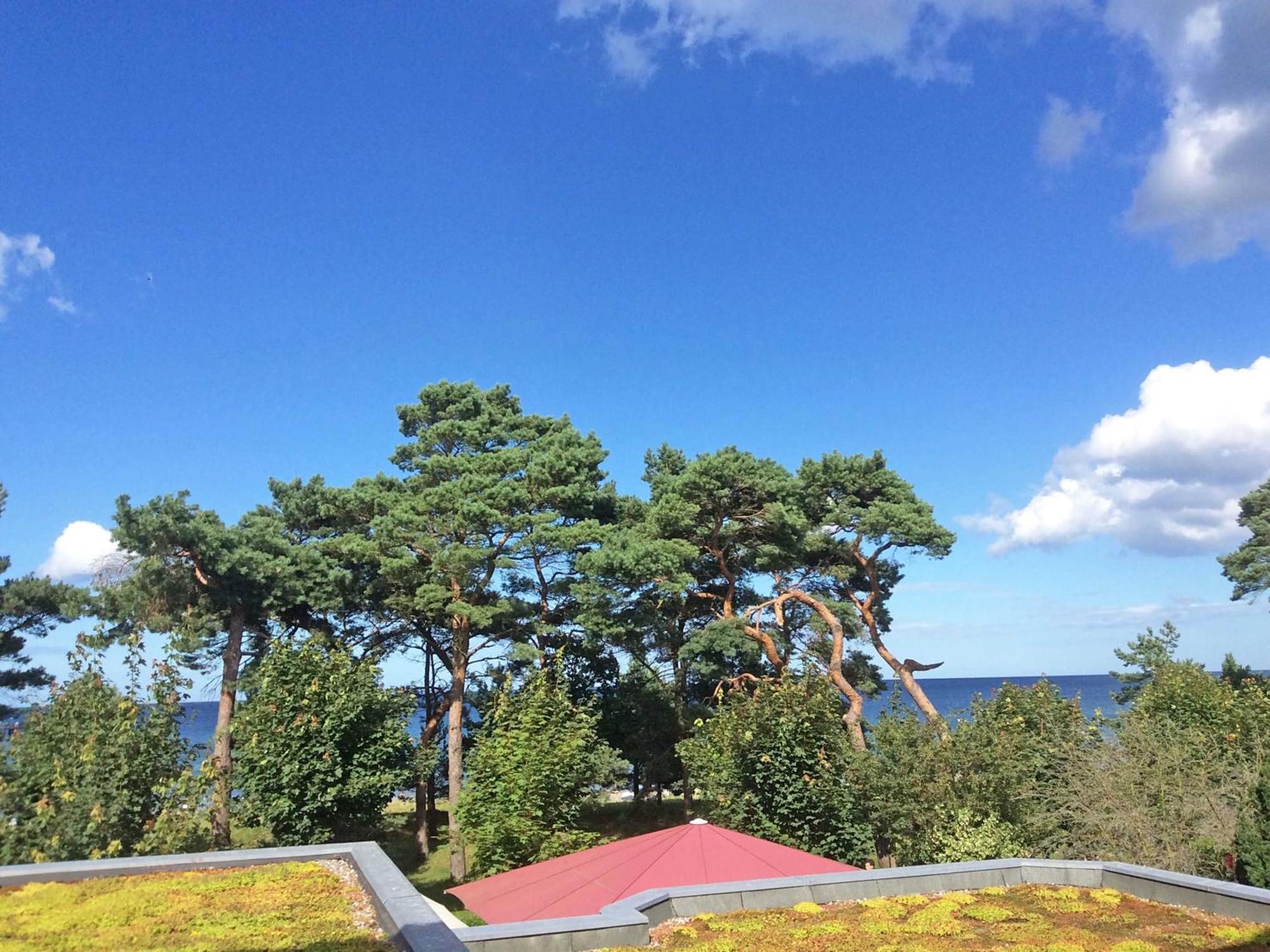 Villa Freia In Binz - Wg 11 Mit Meerblick Und Balkon Eksteriør bilde